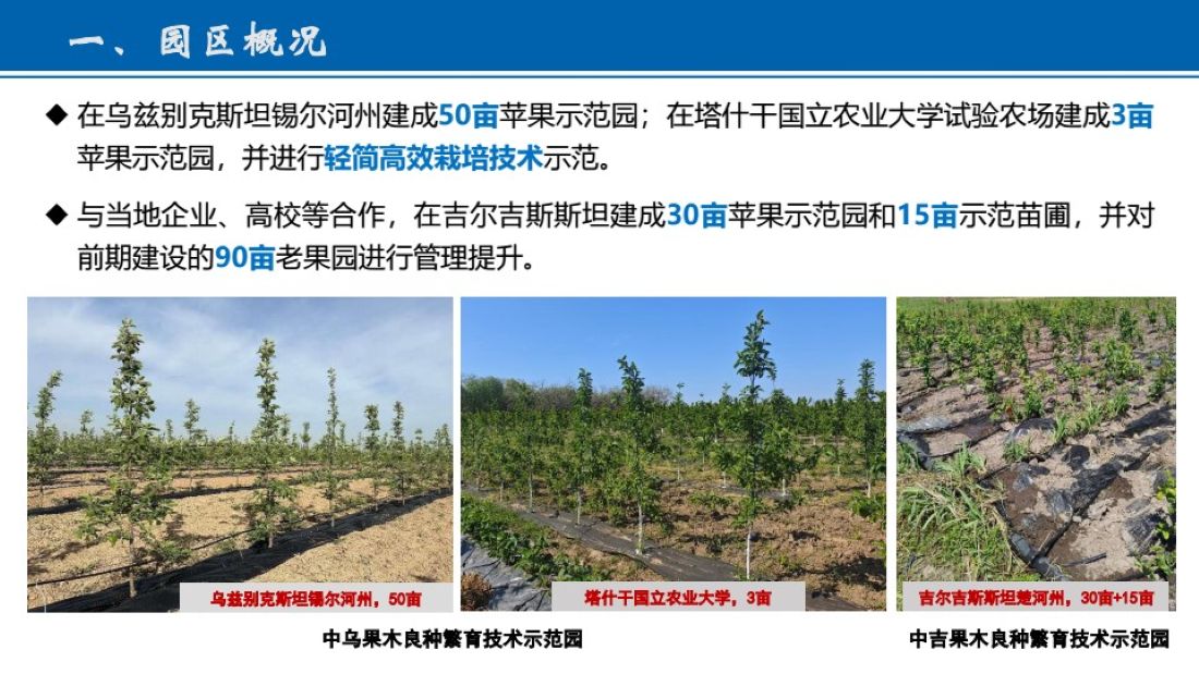 12026-5-12-中吉-中乌示范园2026年度计划汇报 conv 0.jpg